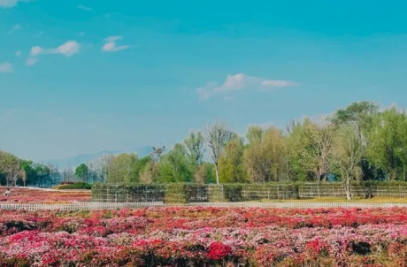 大理洱海生態廊道旅游攻略(網紅打卡地推薦\游覽方式\餐飲住宿)