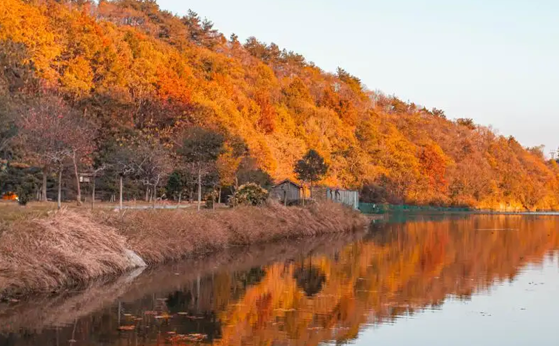 湖北景區票務系統(湖北門票分時預約系統)