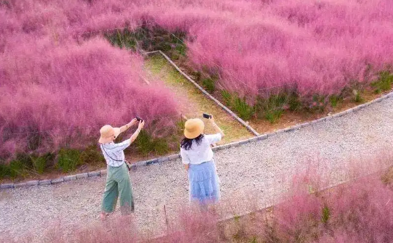 如何打造網紅旅游景區（旅游IP打造）