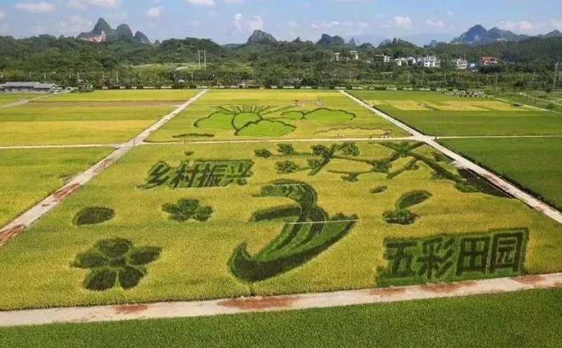 鄉村旅游創新機會玩法：農旅+劇本殺 