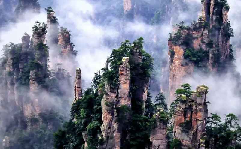 旅游景區利用抖音短視頻營銷的成功案例 