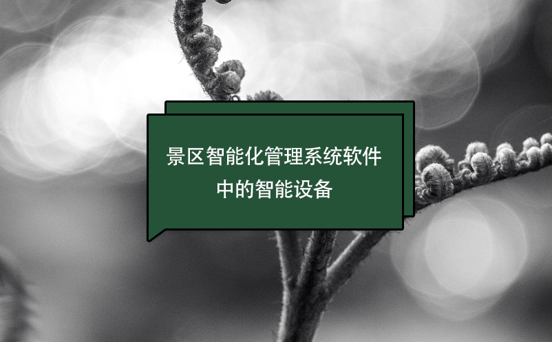 景區智能化管理系統軟件中的智能設備