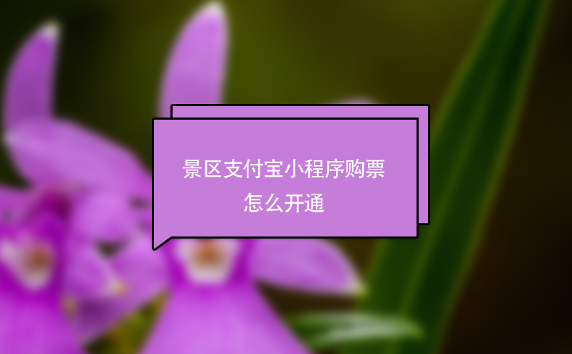 景區支付寶小程序購票怎么開通？