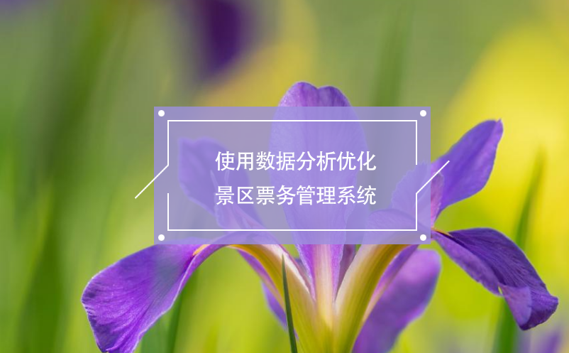 使用數據分析優化景區票務管理系統