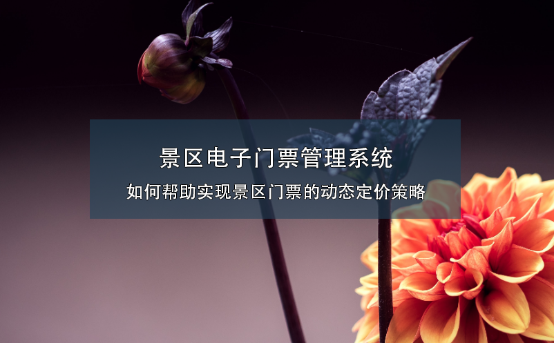 景區電子門票管理系統如何幫助實現景區門票的動態定價策略