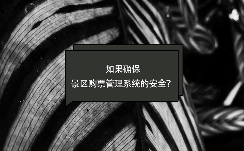 如果確保景區購票管理系統的安全？