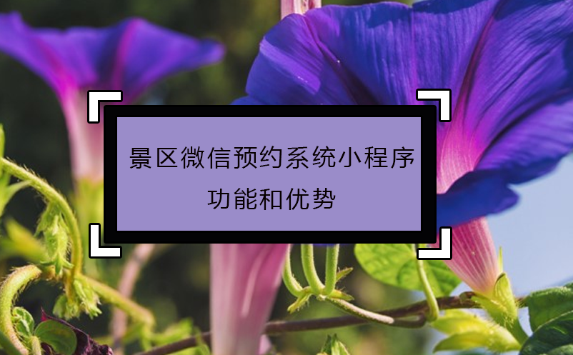 景區微信預約系統小程序功能和優勢