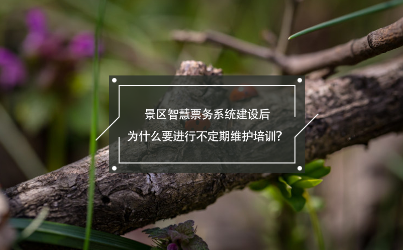 景區智慧票務系統建設后為什么要進行不定期維護培訓？