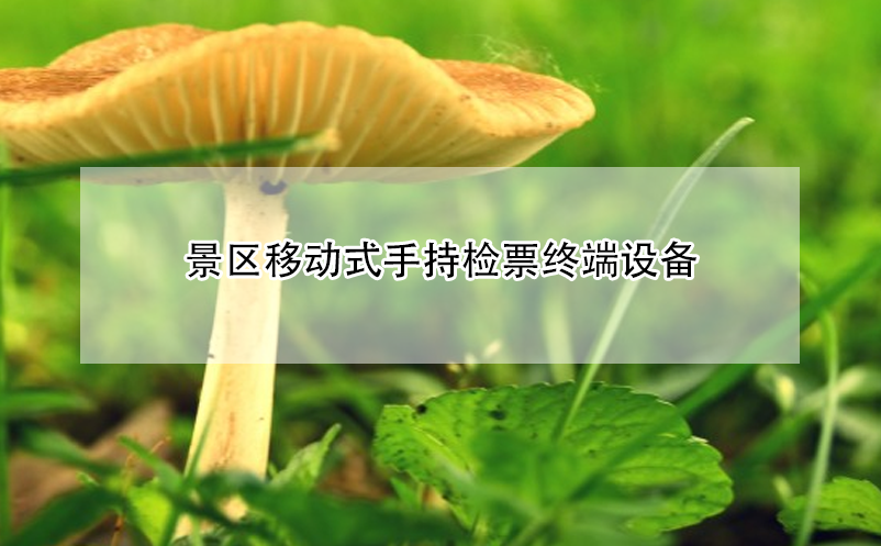 景區移動式手持檢票終端設備