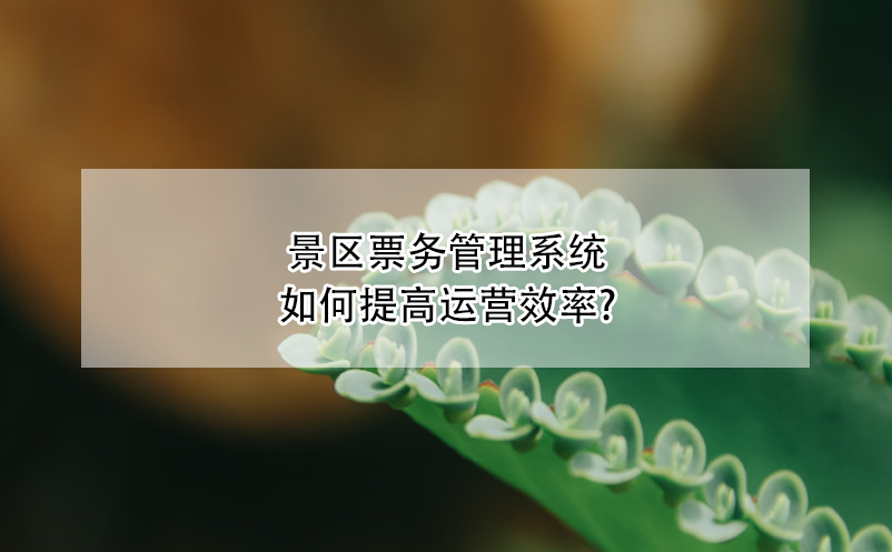 景區票務管理系統如何提高運營效率?