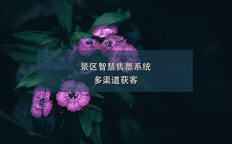 景區智慧售票系統多渠道獲客