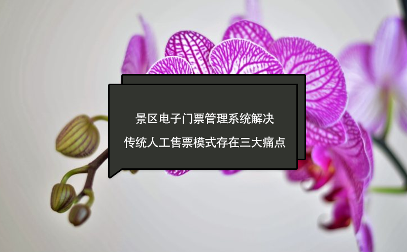 景區電子門票管理系統解決傳統人工售票模式存在三大痛點